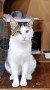 Gerhard (6)